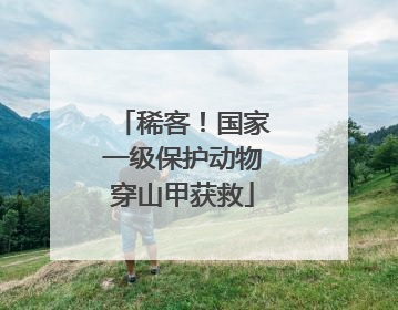 稀客！国家一级保护动物穿山甲获救
