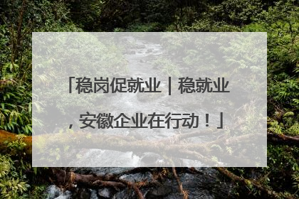稳岗促就业｜稳就业，安徽企业在行动！