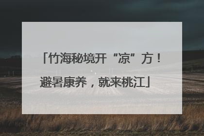 竹海秘境开“凉”方！避暑康养，就来桃江