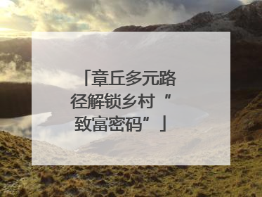 章丘多元路径解锁乡村“致富密码”