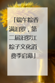 端午粽香满汨罗，第二届汨罗江粽子文化消费季启幕