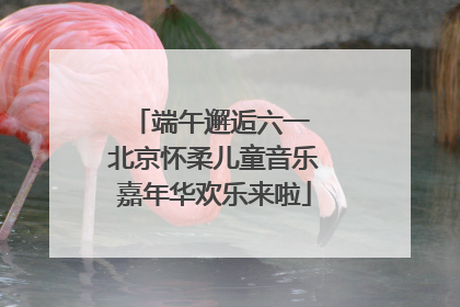 端午邂逅六一 北京怀柔儿童音乐嘉年华欢乐来啦