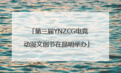第三届YNZCG电竞动漫文创节在昆明举办