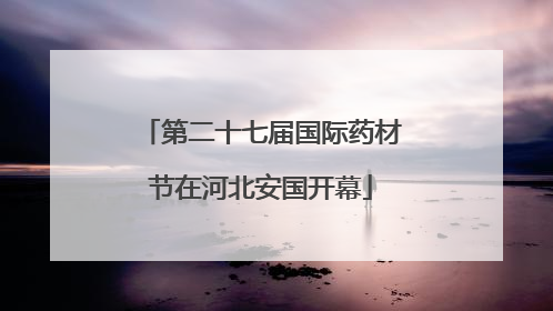 第二十七届国际药材节在河北安国开幕