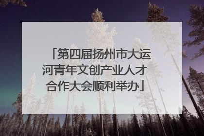 第四届扬州市大运河青年文创产业人才合作大会顺利举办