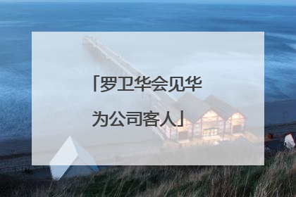 罗卫华会见华为公司客人