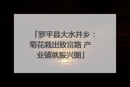 罗平县大水井乡：菊花栽出致富路 产业铺就振兴图