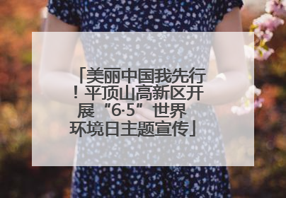 美丽中国我先行！平顶山高新区开展“6·5”世界环境日主题宣传