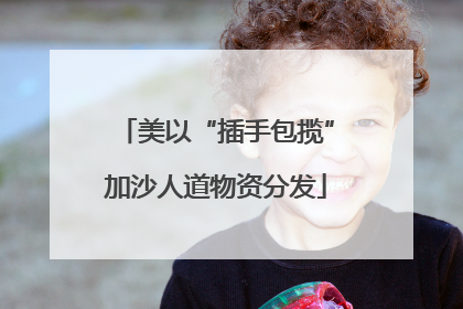 美以“插手包揽”加沙人道物资分发