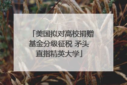 美国拟对高校捐赠基金分级征税 矛头直指精英大学
