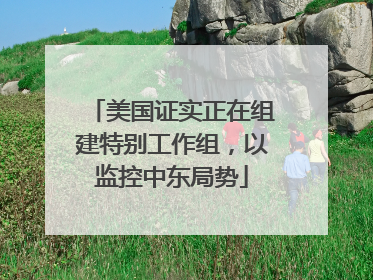 美国证实正在组建特别工作组，以监控中东局势