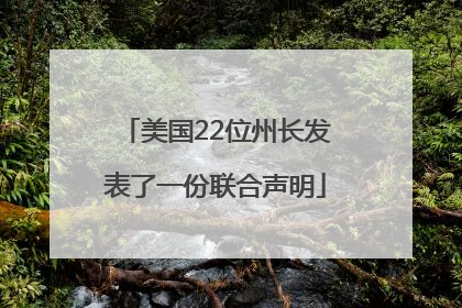 美国22位州长发表了一份联合声明