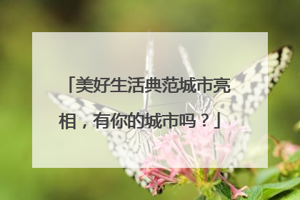 美好生活典范城市亮相，有你的城市吗？