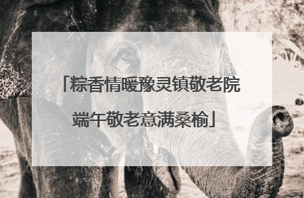 粽香情暖豫灵镇敬老院 端午敬老意满桑榆