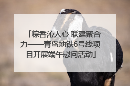 粽香沁人心 联建聚合力——青岛地铁6号线项目开展端午慰问活动