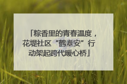 粽香里的青春温度，花堤社区“鹤耋安”行动架起跨代暖心桥