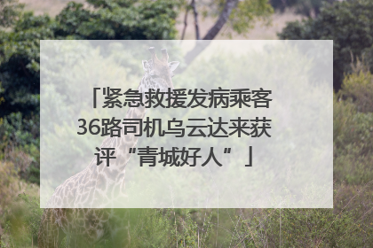 紧急救援发病乘客 36路司机乌云达来获评“青城好人”