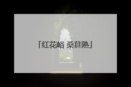 红花峪 桑葚熟
