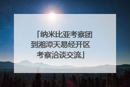 纳米比亚考察团到湘潭天易经开区考察洽谈交流
