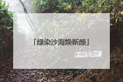 绿染沙海焕新颜