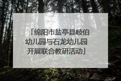 绵阳市盐亭县岐伯幼儿园与石龙幼儿园开展联合教研活动