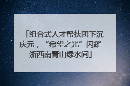 组合式人才帮扶团下沉庆元，“希望之光”闪耀浙西南青山绿水间