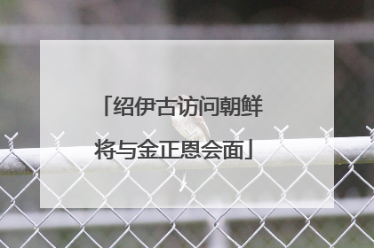 绍伊古访问朝鲜 将与金正恩会面