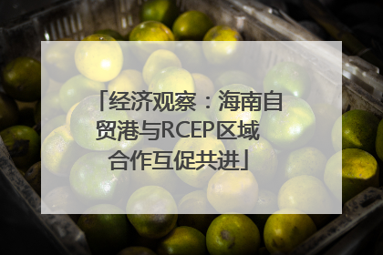 经济观察：海南自贸港与RCEP区域合作互促共进