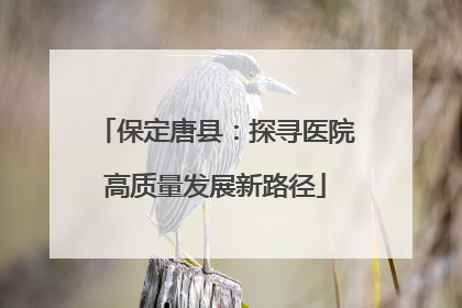 保定唐县：探寻医院高质量发展新路径