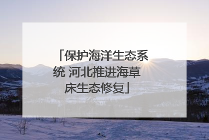 保护海洋生态系统 河北推进海草床生态修复