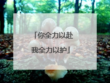 你全力以赴 我全力以护