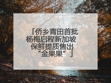 侨乡青田首批杨梅启程新加坡 保鲜提质售出“金果果”
