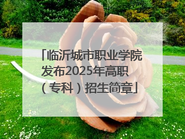 临沂城市职业学院发布2025年高职（专科）招生简章