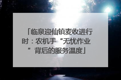 临泉迎仙镇麦收进行时：农机手“无忧作业”背后的服务温度