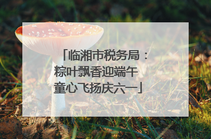 临湘市税务局：粽叶飘香迎端午 童心飞扬庆六一