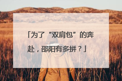 为了“双肩包”的奔赴，邵阳有多拼？