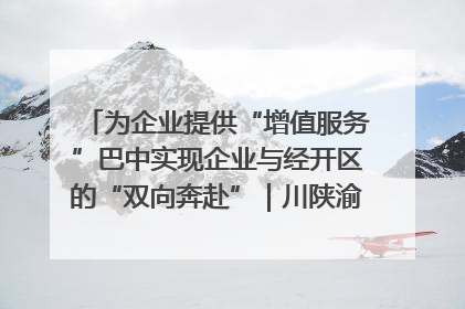 为企业提供“增值服务”巴中实现企业与经开区的“双向奔赴”｜川陕渝网络名人巴中行