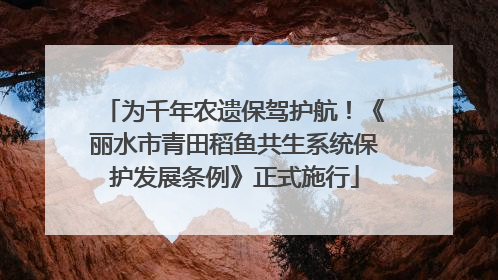 为千年农遗保驾护航！《丽水市青田稻鱼共生系统保护发展条例》正式施行