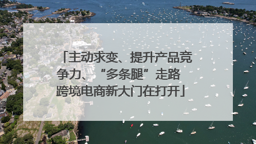 主动求变、提升产品竞争力、“多条腿”走路 跨境电商新大门在打开
