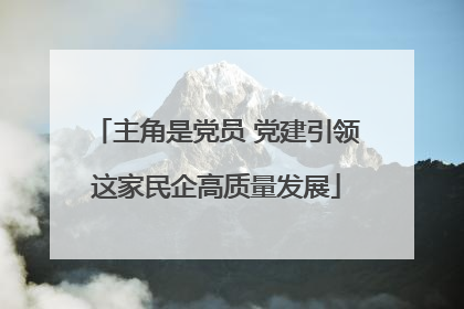 主角是党员 党建引领这家民企高质量发展