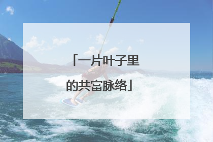 一片叶子里的共富脉络