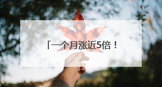 一个月涨近5倍！亚洲最大比特币持有者欲融资53亿美元 豪言要囤积21万枚比特币