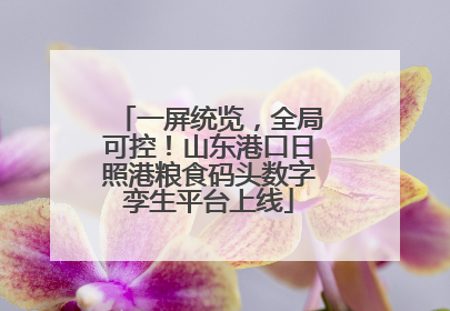 一屏统览，全局可控！山东港口日照港粮食码头数字孪生平台上线