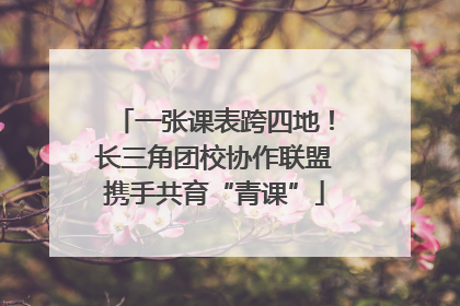 一张课表跨四地！长三角团校协作联盟携手共育“青课”