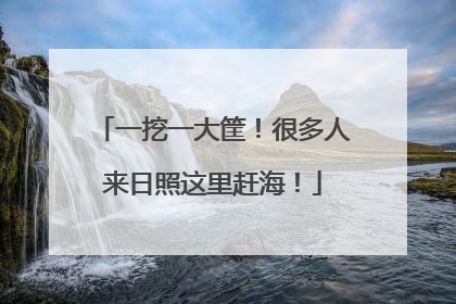 一挖一大筐！很多人来日照这里赶海！