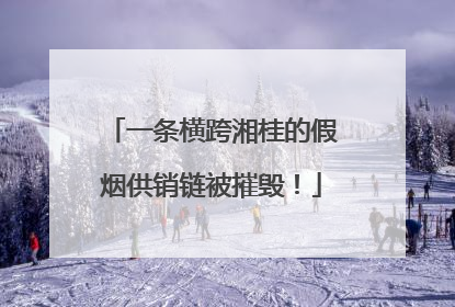 一条横跨湘桂的假烟供销链被摧毁！