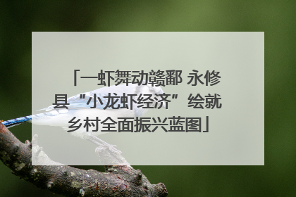 一虾舞动赣鄱 永修县“小龙虾经济”绘就乡村全面振兴蓝图