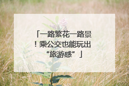 一路繁花一路景！乘公交也能玩出“旅游感”