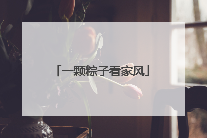 一颗粽子看家风