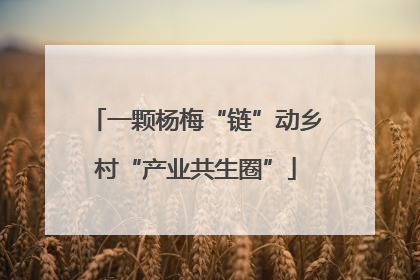 一颗杨梅“链”动乡村“产业共生圈”